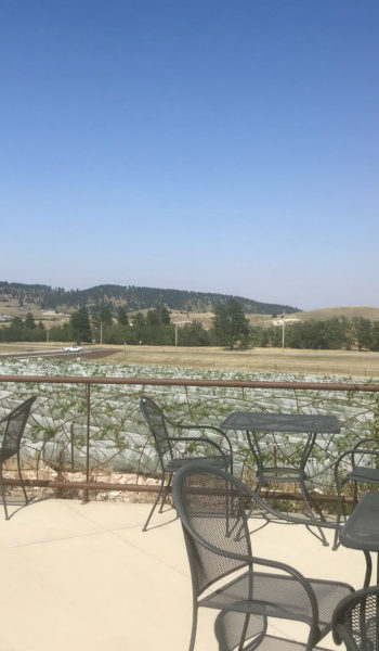 Pet friendly patio at Belle Joli Winery Sparkling House in Sturgis, SD