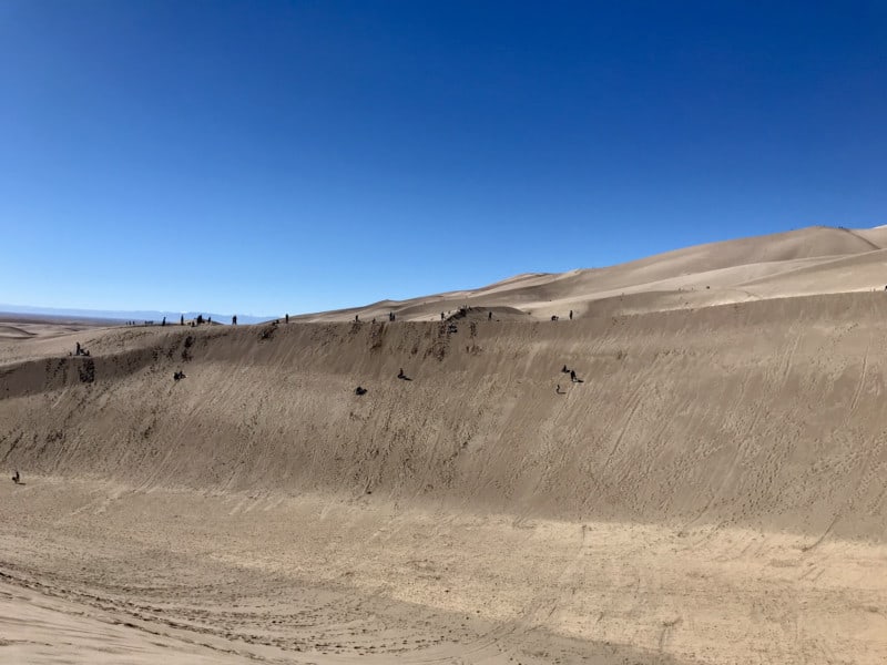 People sandsledding and sandboarding at pet friendly Great Sand Dunes National Park