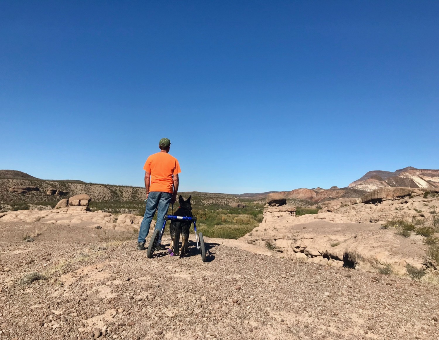 A man and a German Shepherd Dog on the pet-friendly Hoodoo Trail in Big Bend Ranch State Park, Texas