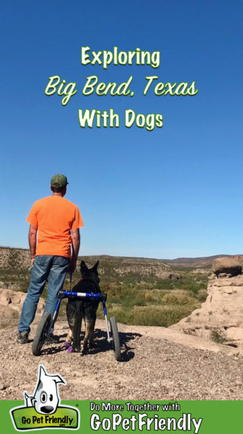 Man and a dog looking out over the Rio Grand River in Big Bend, TX