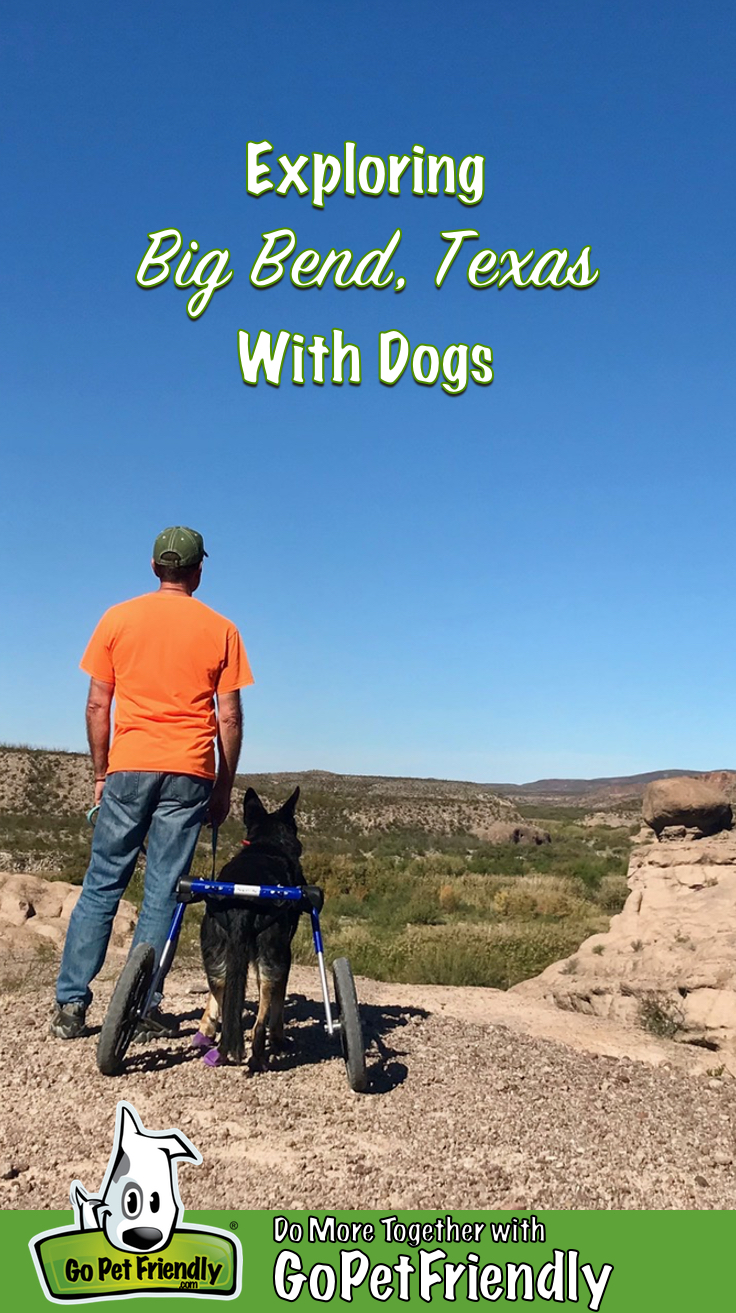 Man and a dog looking out over the Rio Grand River in Big Bend, TX