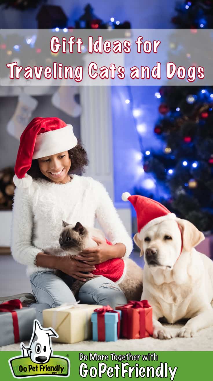 Girl in a Santa hat sits with a cat in her lap beside a Yellow Labrador dog in a Santa hat
