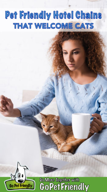 Woman sitting on a bed in a pet friendly hotel looking at a computer with a cat on her lap