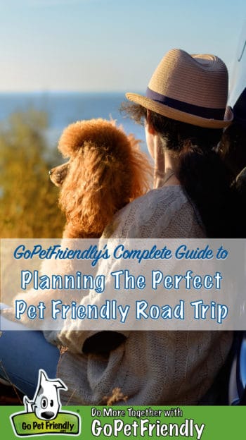 Woman in a hat with a poodle on her lap overlooking the ocean on a pet friendly road trip