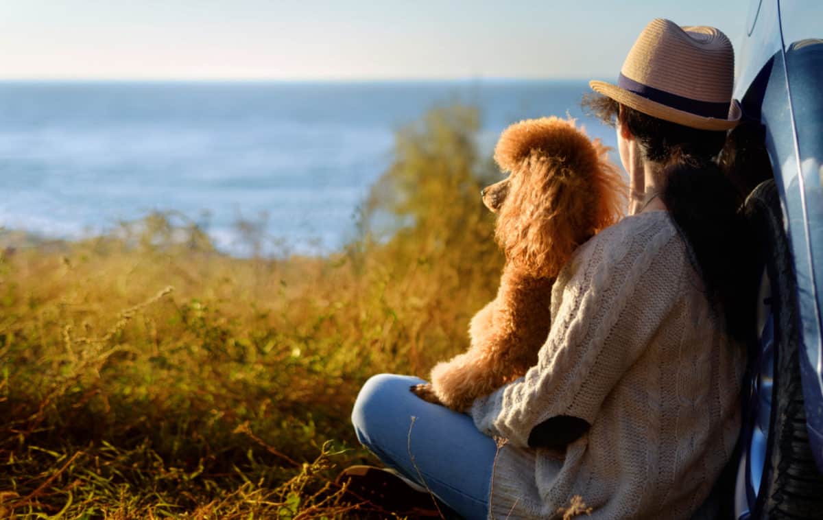 Woman in a hat with a poodle on her lap overlooking the ocean on a pet friendly road trip