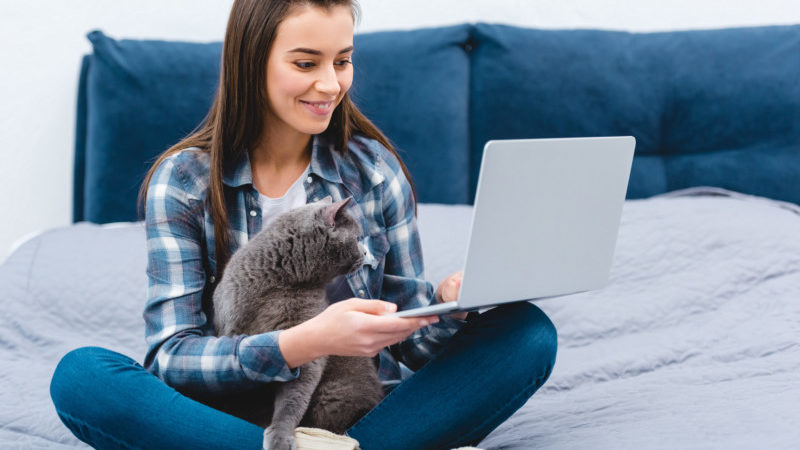 Woman sitting on a bed in a pet friendly hotel looking at a computer with a cat on her lap