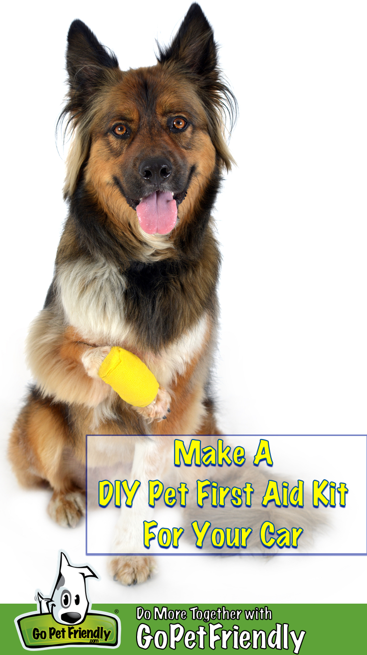 How To Make A Pet First Aid Kit For Your Car