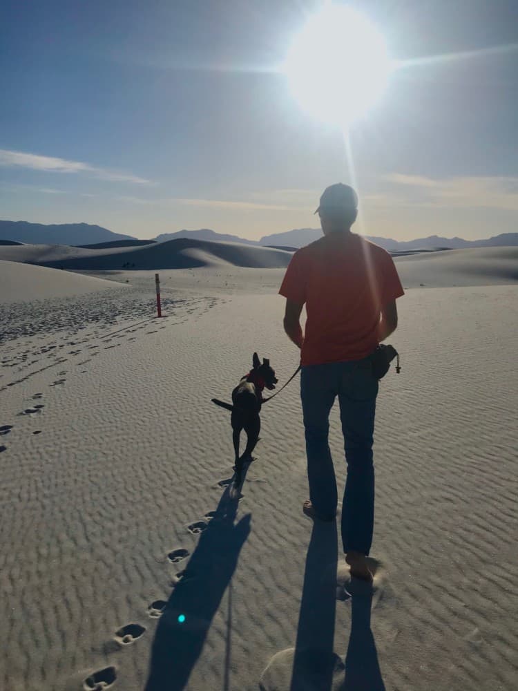 Man and dog walking into the sun on a pet friendly trail in White Sands National Park, NM