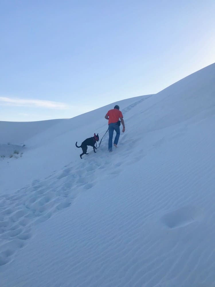 Man and dog on a pet friendly trail in White Sands National Park, NM