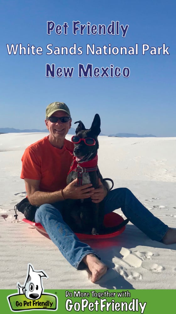 Man and a brindle dog in red goggles sitting on a red sled in White Sands National Park, New Mexico