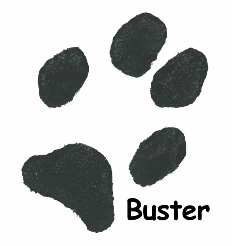 Image of a dog's paw print