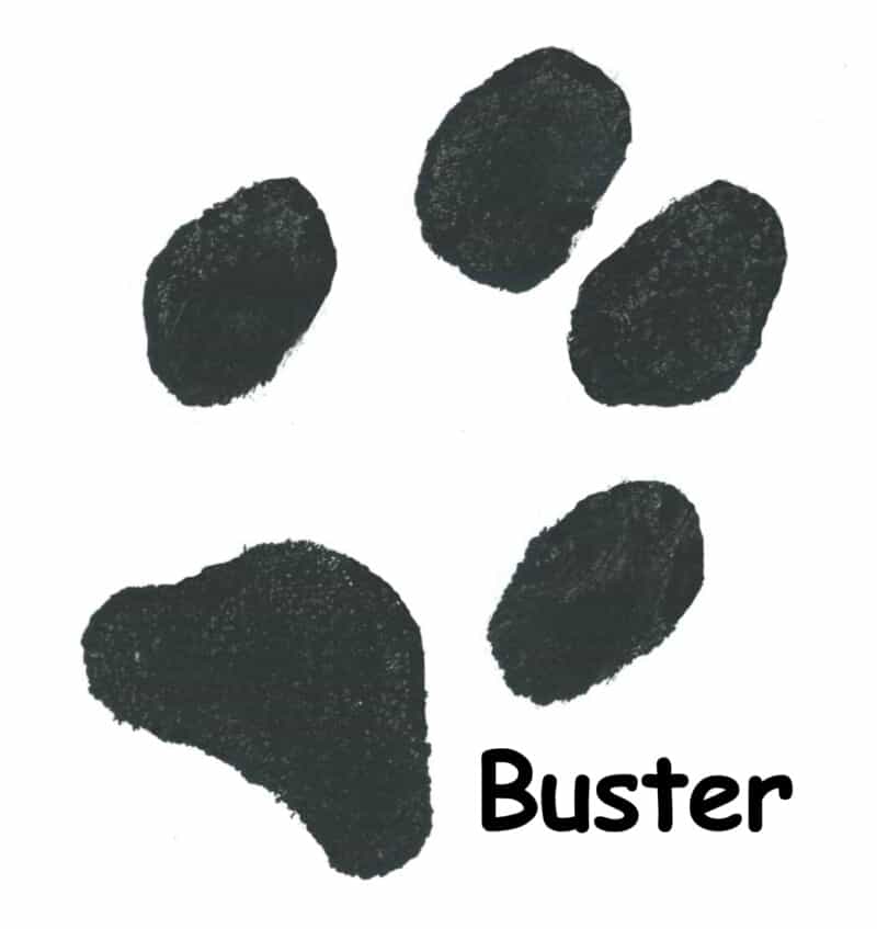 dog footprint images