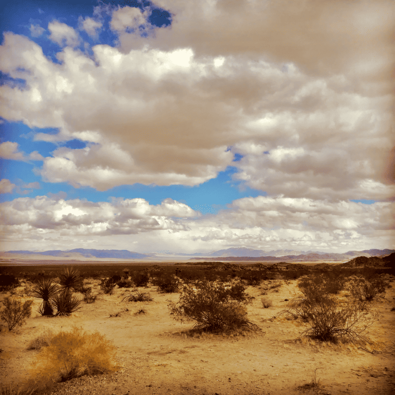 Landscape at Mission Creek Preserve - Desert Hot Springs, CA