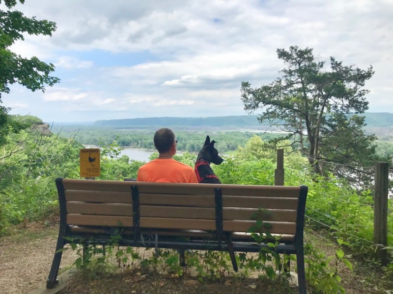 Man and dog on a bench overlooking the Mississippi River at pet friendly Effigy Mounds National Monument, Iowa