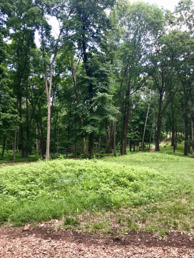 Earthen mounds at Effigy Mounds National Monument in Iowa