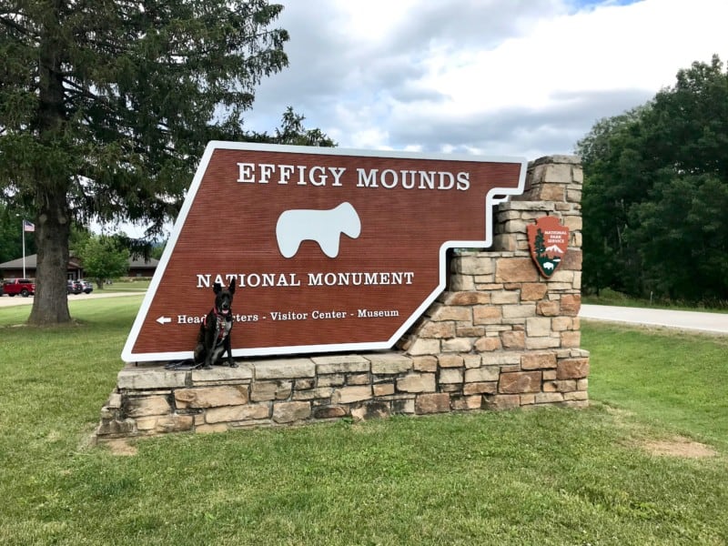 Brindle dog beside the sign for pet friendly Effigy Mounds National Monument in Iowa