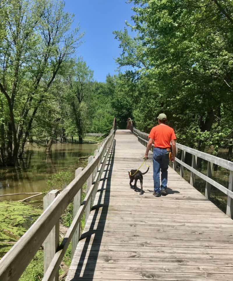 Man and bridle dog on wooden bridge in Effigy Mounds National Monument in Iowa