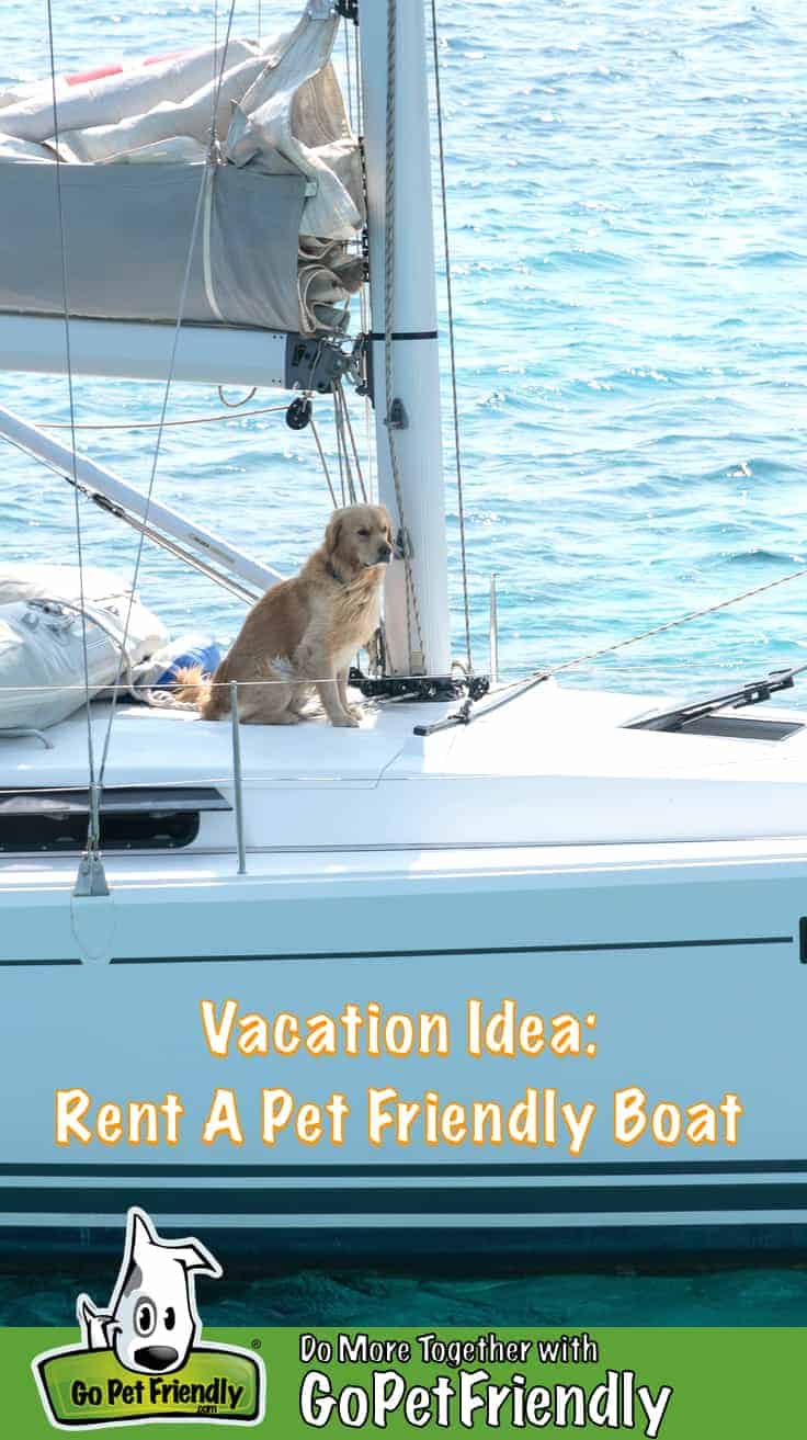 Golden Retriever dog sitting under the mast of a large sailboat at sea