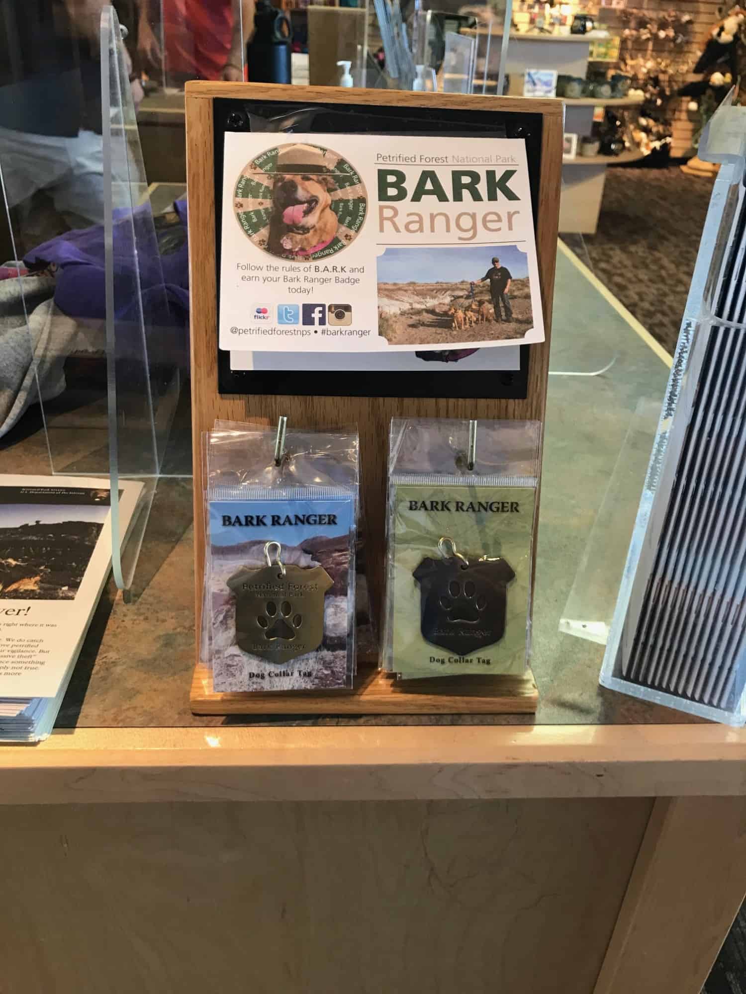 Bark Ranger card on display in the counter at Petrified Forest National Park