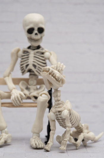 Skeleton petting his skeleton dog