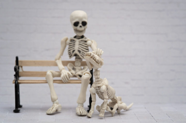 Skeleton petting his skeleton dog