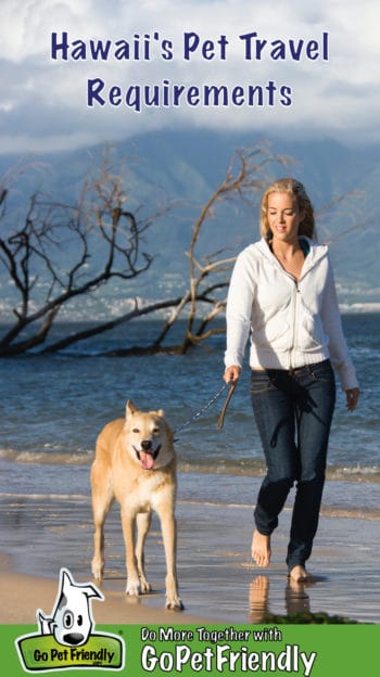 Woman and dog walking on a pet friendly beach in Hawaii