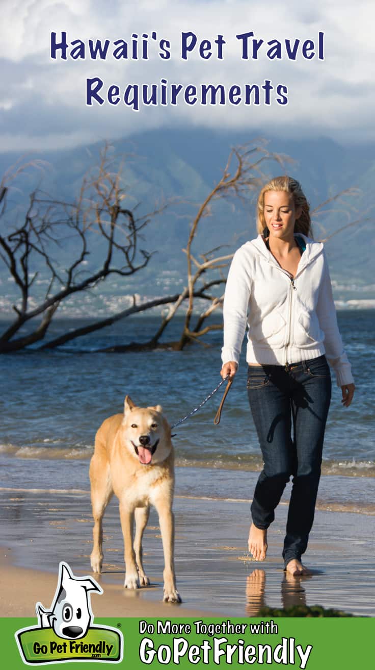 pet travel requirements hawaii