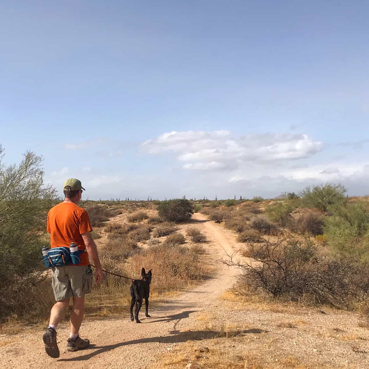 Man and dog on pet friendly trail at McDowell Mountain Regional Park near Phoenix, AZ