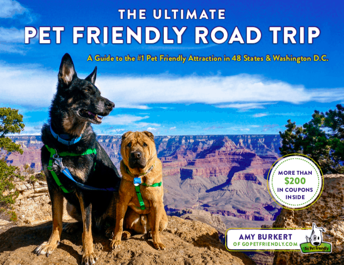 Book Cover - The Ultimate Pet Friendly Road Trip by Amy Burkert