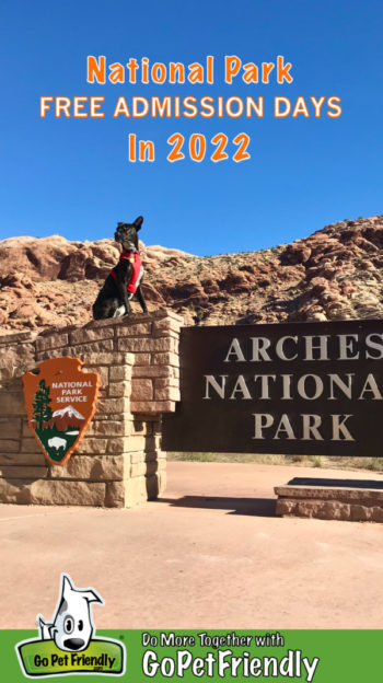 Brindle dog in a red harnesses sitting on the sign for Arches National Park in Moab, UT