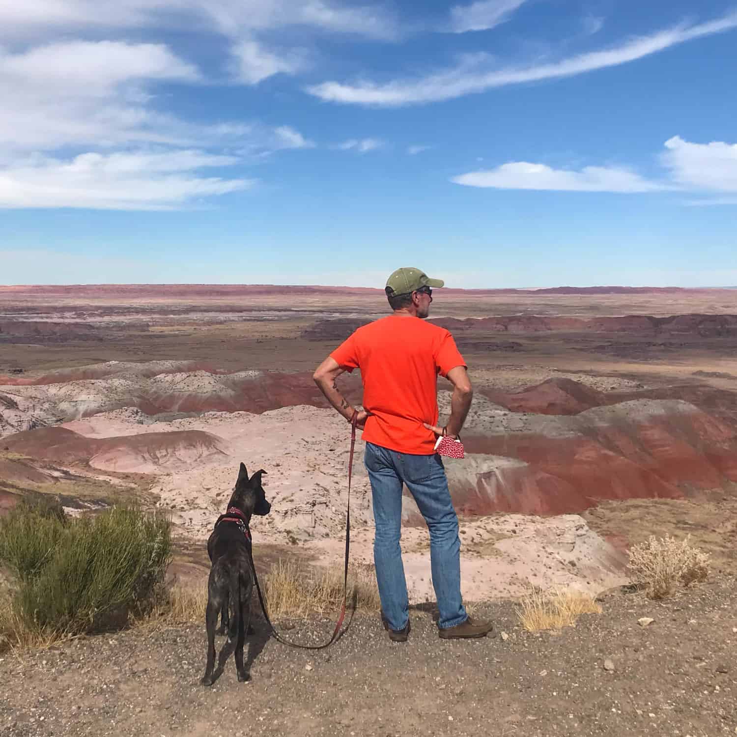 Man and dog standing on a rim overlooking the landscape at Petrified Forest National Park in AZ