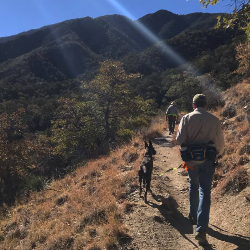 Man and dog on a pet friendly hiking trail in Madera Canyon near Tucson, AZ