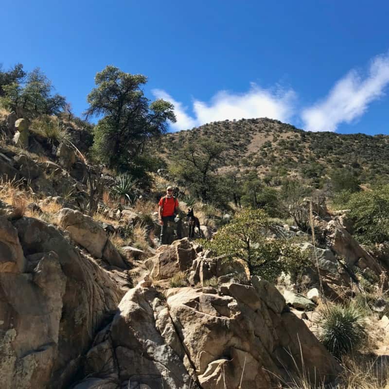 Man and dog on pet friendly hiking trail at Kartchner Caverns State Park near Tucson, AZ