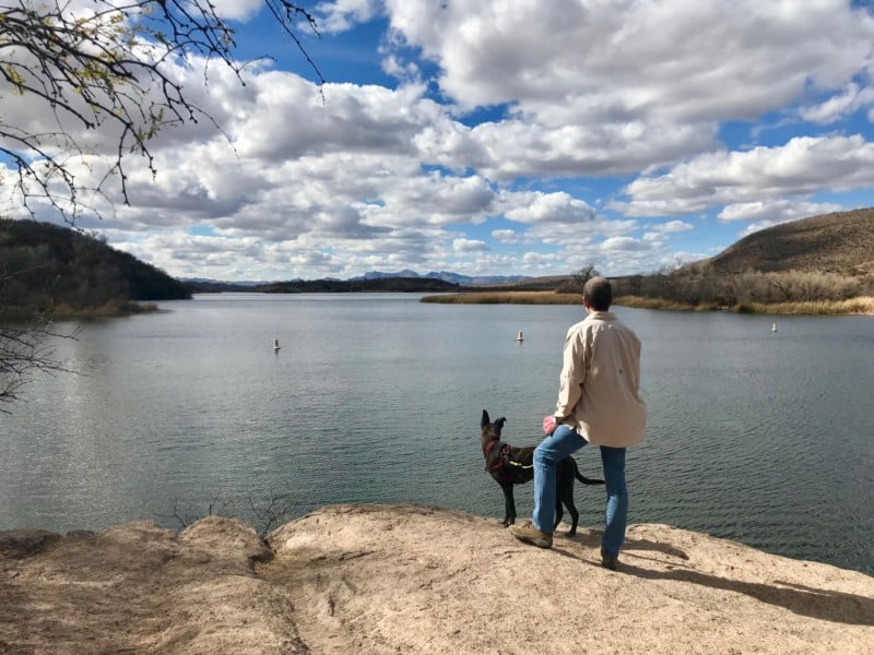 Man and dog overlooking a lake near Tucson, AZ with mountains in the distance