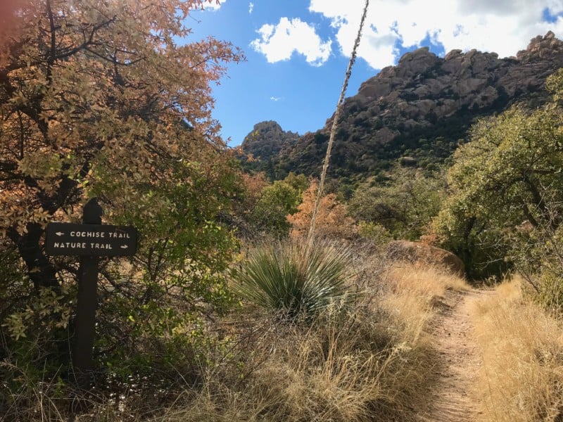 Sign along a dog friendly trail at Cochise Stronghold near Tucson, AZ