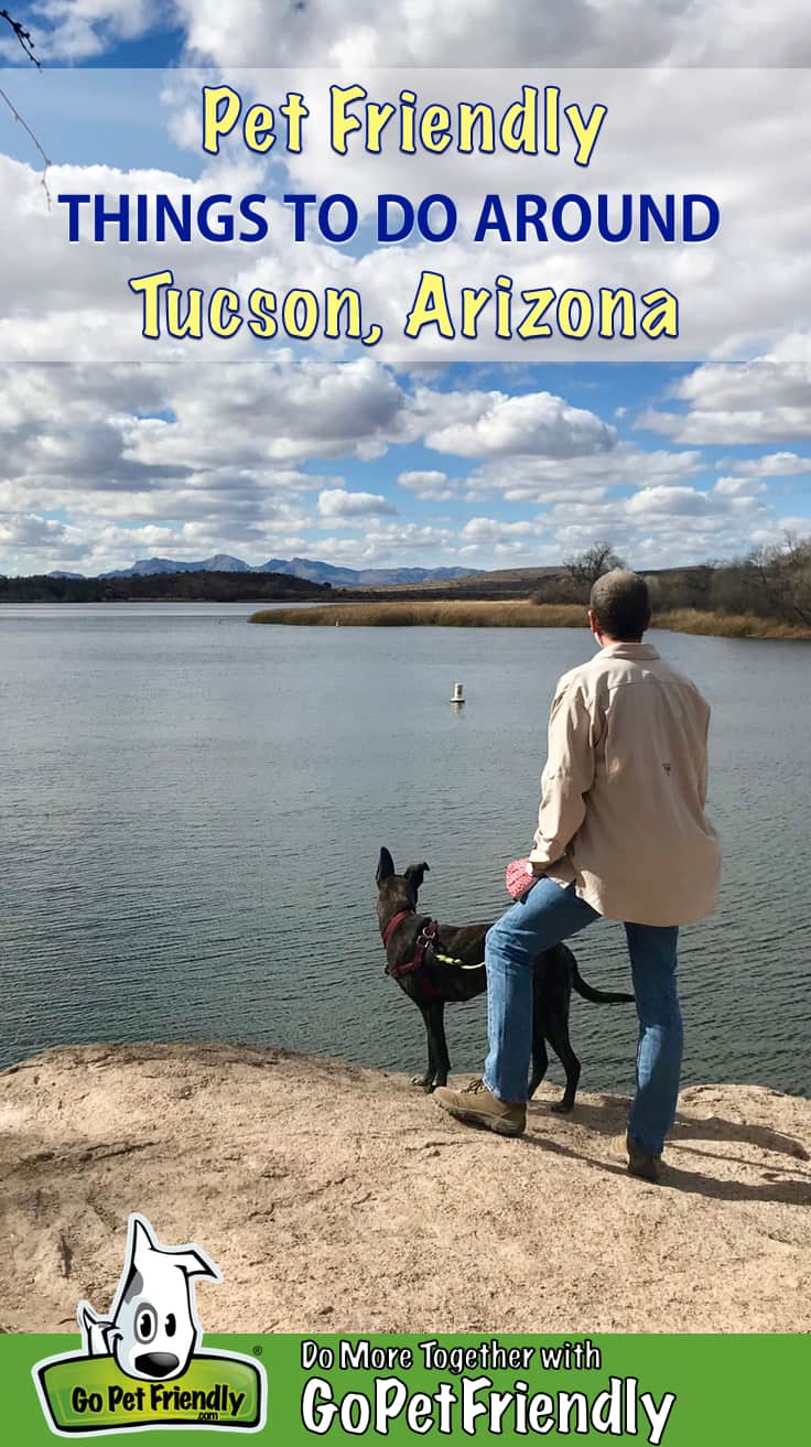 Man and dog overlooking a lake near Tucson, AZ with mountains in the distance