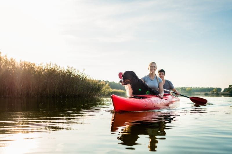 Dog and woman sitting with a man kayaking