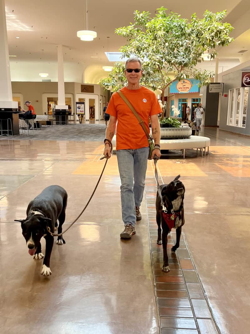 Smiling man walking two dogs in a pet friendly mall in Santa Fe, NM