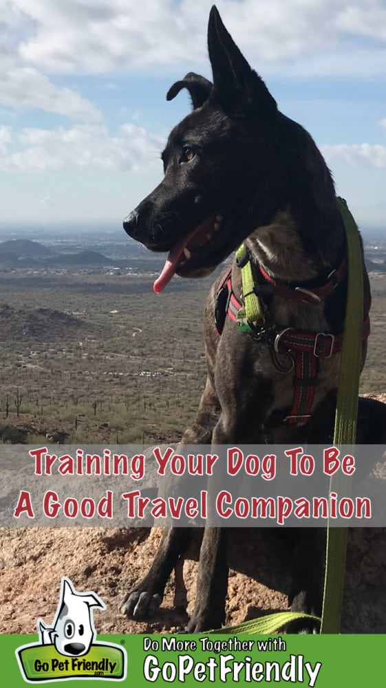 Brindle dog sitting on a rock with a desert landscape in the background