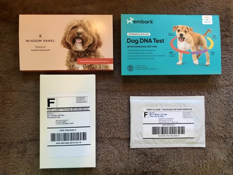 Wisdom Panel and Embark DNA Test Kits packed up and ready to ship