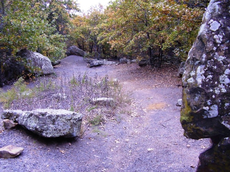 Pet friendly dirt trail on Turkey Mountain in Tulsa, OK