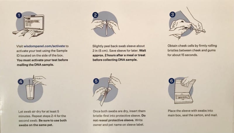 Instructions for the Wisdom Panel Dog DNA Test Kit