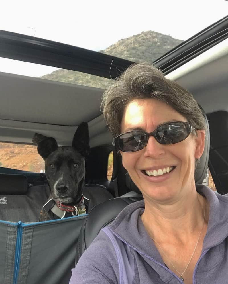 Woman in car with dog in backseat