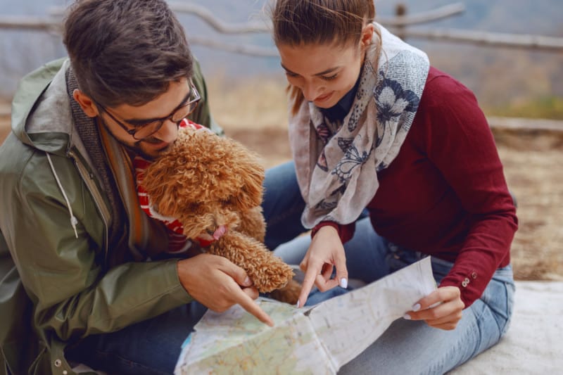 Happy couple looking at map with small brown dog