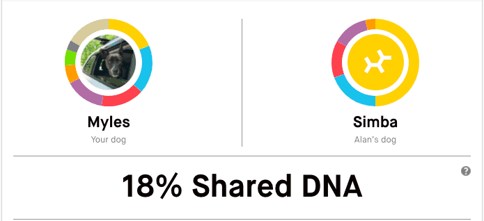 Embark DNA Relatives for Myles