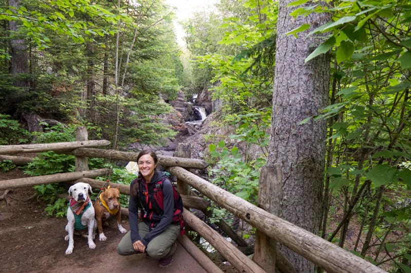 A white dog, a brown dog, and a women post in front of a cascading waterfall in the midst of a pine forest at Cascade River State Park on the North Shore in Minnesota