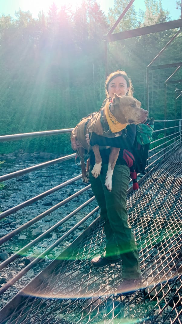 A woman holding a large brown dog while standing on a metal grate bridge over a river at Tettegouche State Park on the North Shore in Minnesota