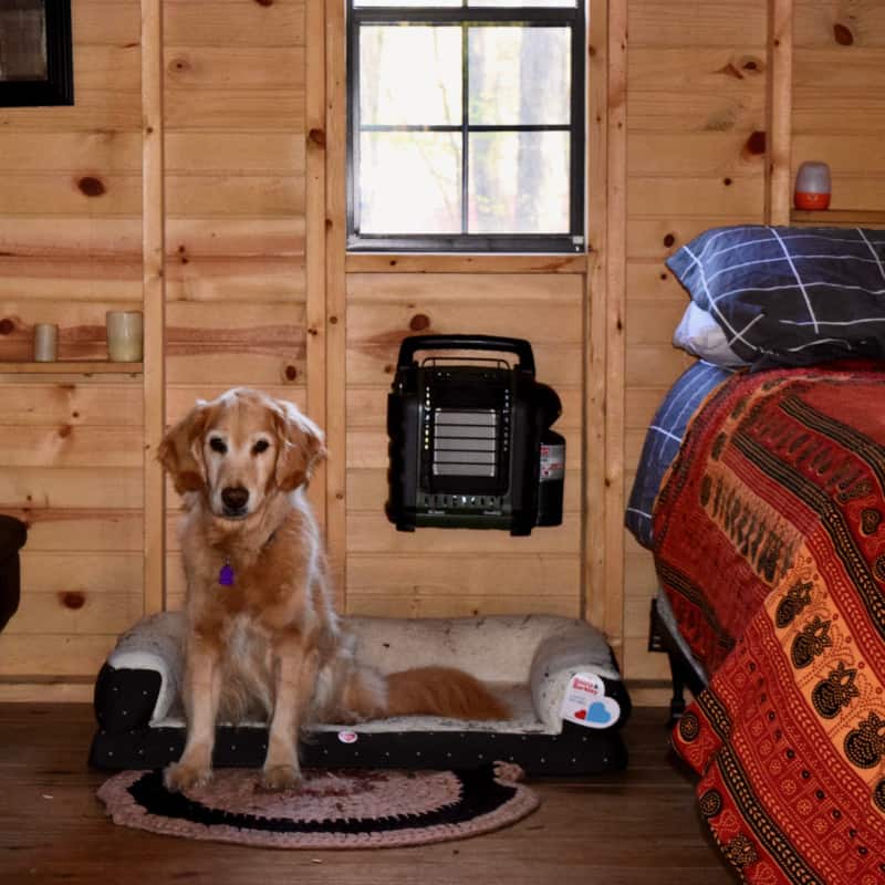 Pet friendly glamping hut