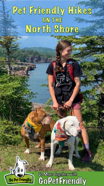 A woman, a brown dog, and a white dog standing in front of pine trees along the Lake Superior shoreline in Minnesota