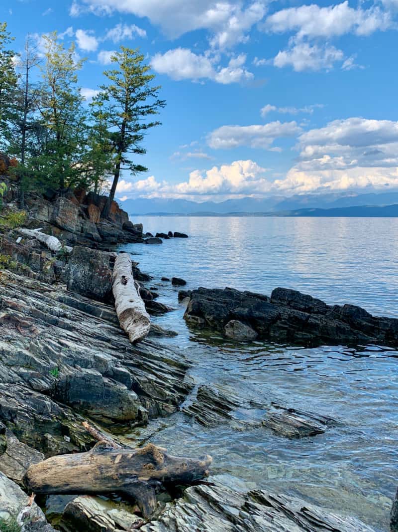 Pine trees along the rocky shoreline of Flathead Lake, Montana